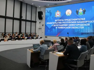 Нижегородскую практику по созданию инвестпрофилей представили Минэкономразвития Башкирии